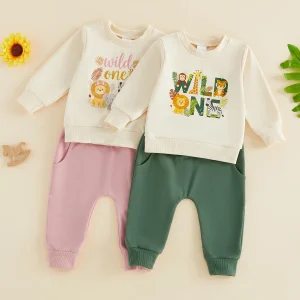 Baby Sweatshirt Pants Outfit